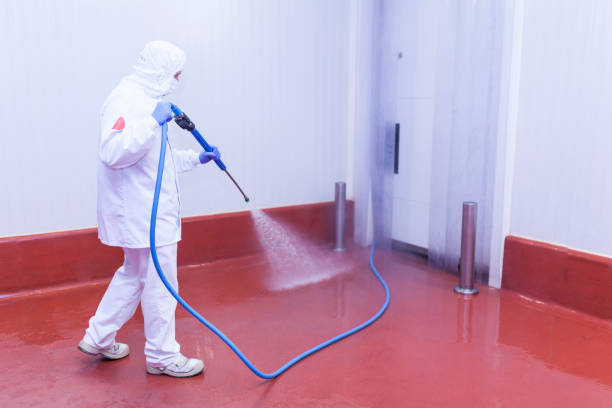 Best Pool Deck Cleaning  in Salem, IN